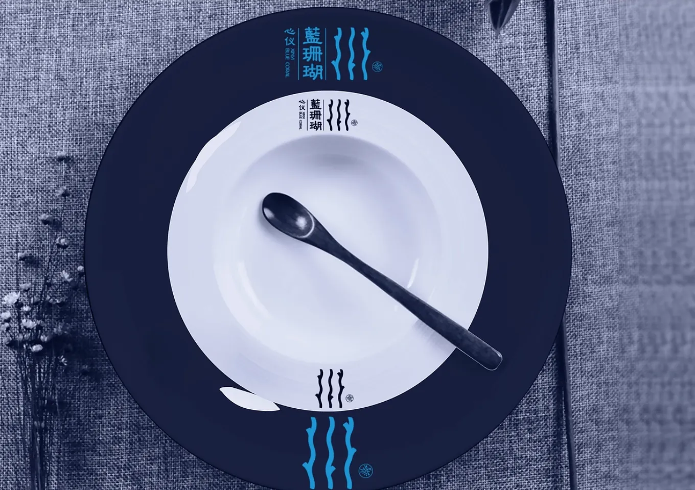 蓝珊瑚-008